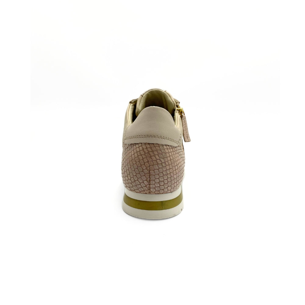 DL Sport Sneaker m/snøre og lynlås Irdie Onyx Alaska Ovorio