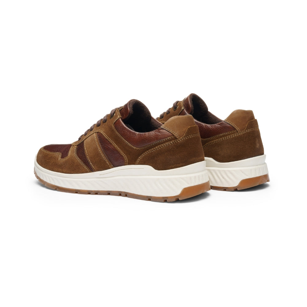 Ara Herresneaker Tomaso Saddle/Moro