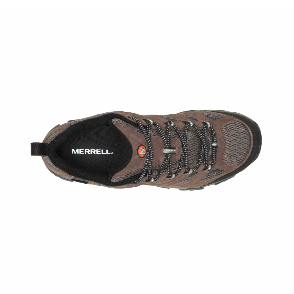 Merrell MOAB GTX Herre Bracken fougere