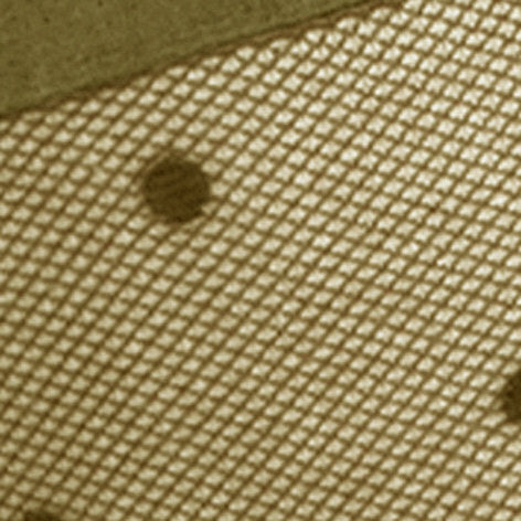 Falke Knæstrømpe DOT nylon