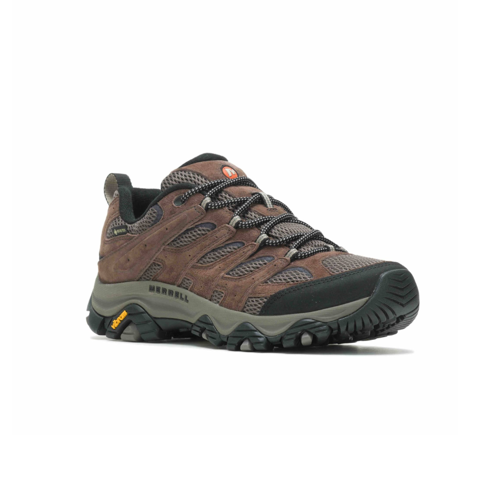 Merrell MOAB GTX Herre Bracken fougere