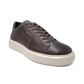 Gant Sneaker Zonick Dark Brown